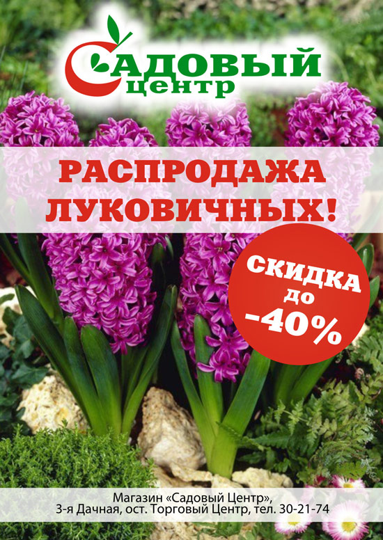 Распродажа луковичных в садовом центре!