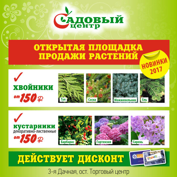 Открытая площадка продажи растений!